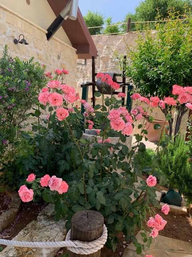Traditional House Holiday home Lofou